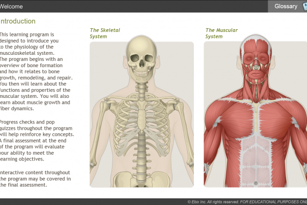 Musculoskeletal System eLearning Title Image