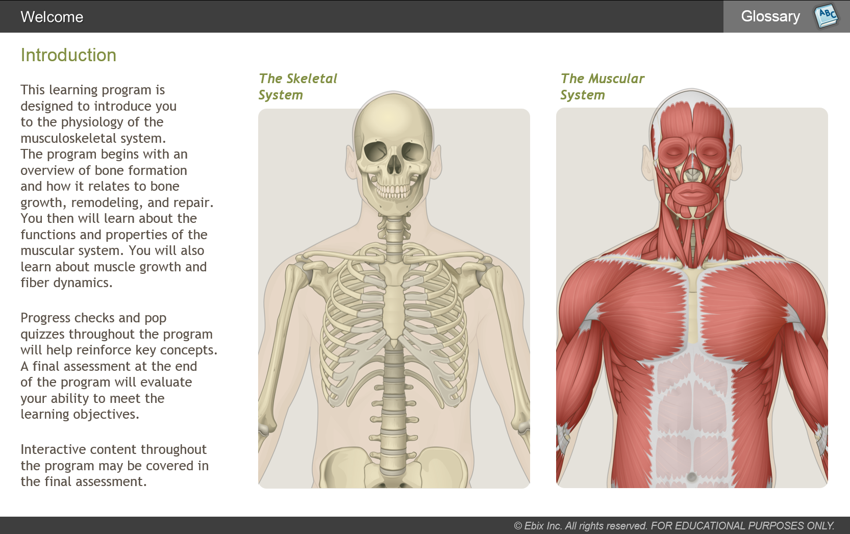 Musculoskeletal System eLearning Title Image