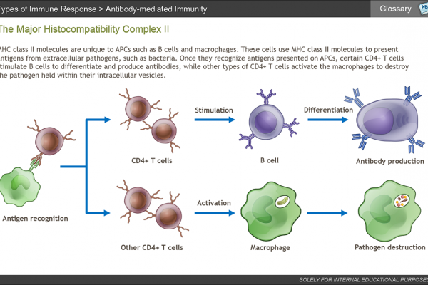 Physiology of the Immune System eLearning