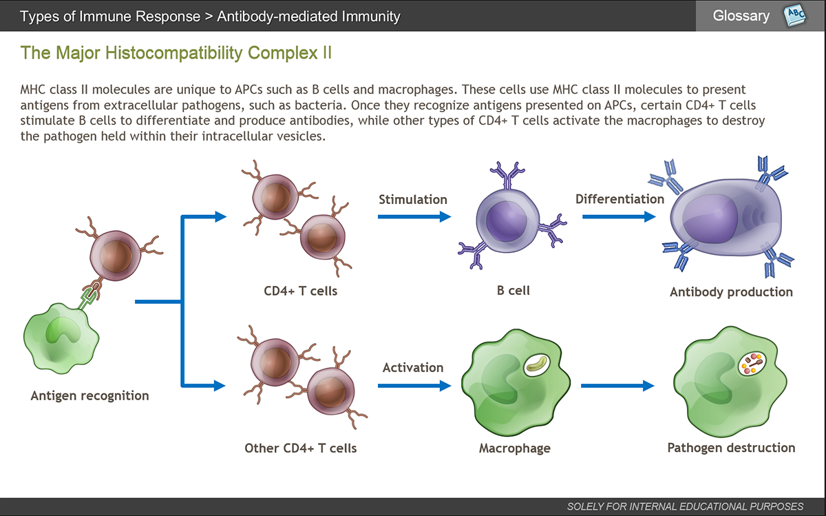 Physiology of the Immune System eLearning