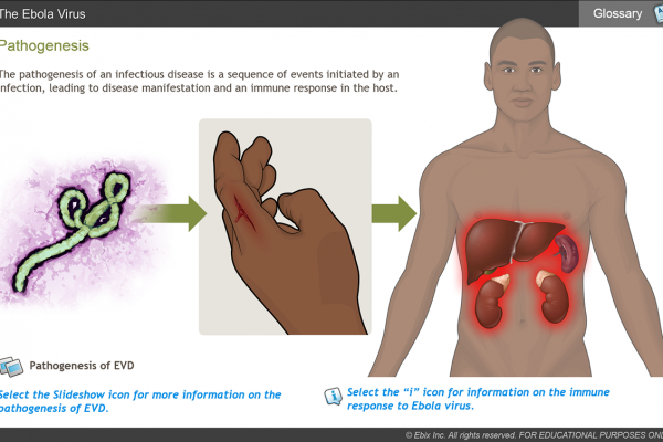 Understanding Ebola eLearning