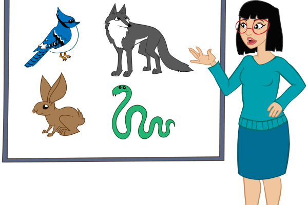 animals