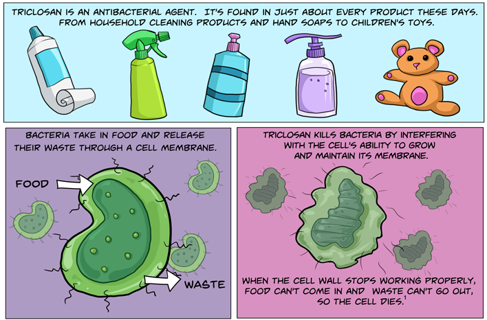 Comics and Infographcis